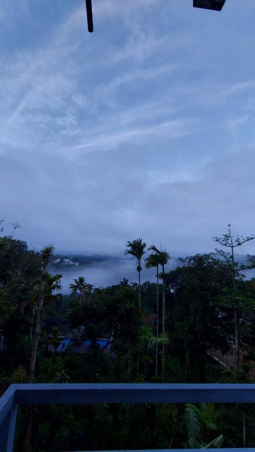 Greenpepperhomestay Munnar Anaviratty Экстерьер фото