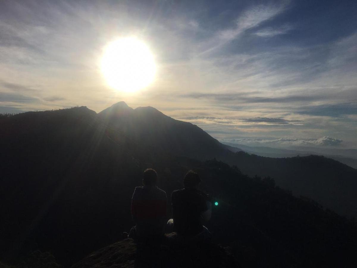 Greenpepperhomestay Munnar Anaviratty Экстерьер фото