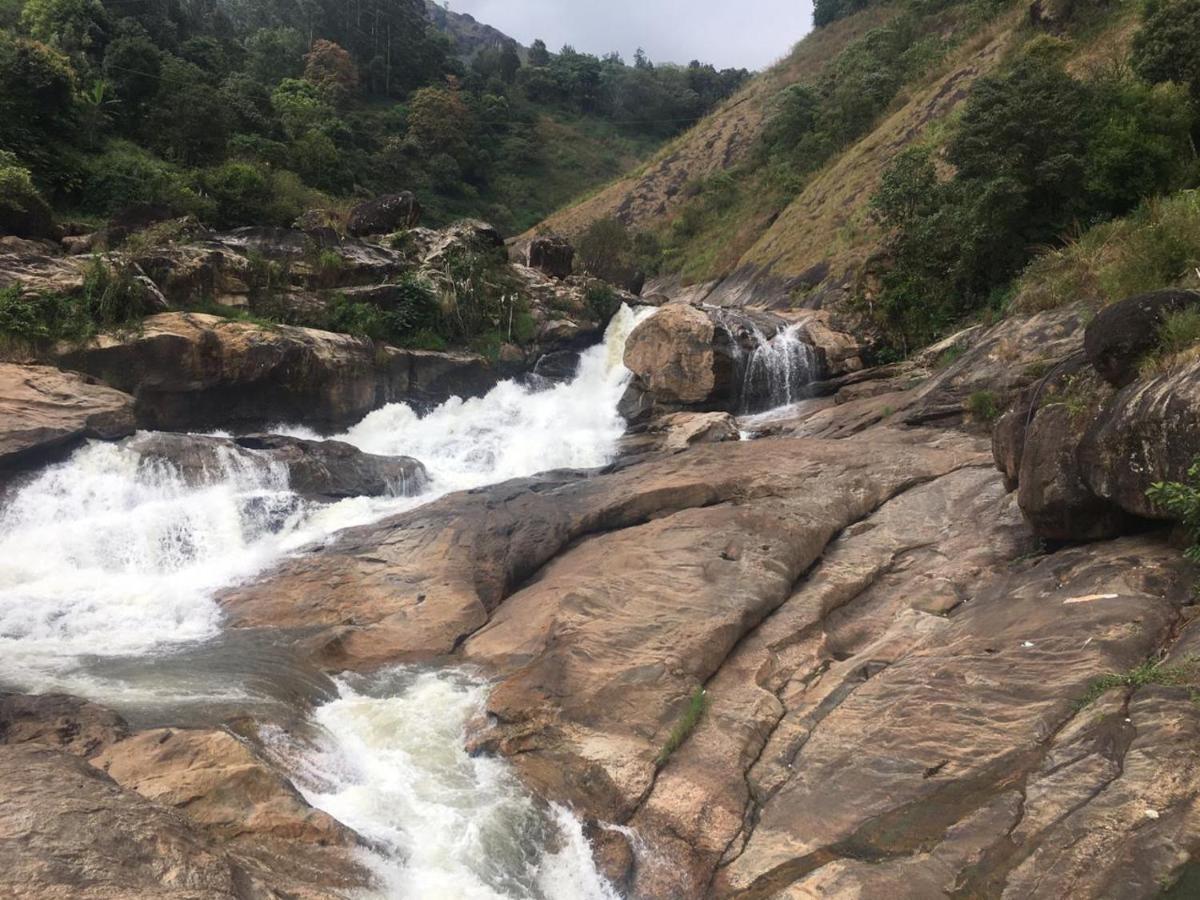 Greenpepperhomestay Munnar Anaviratty Экстерьер фото
