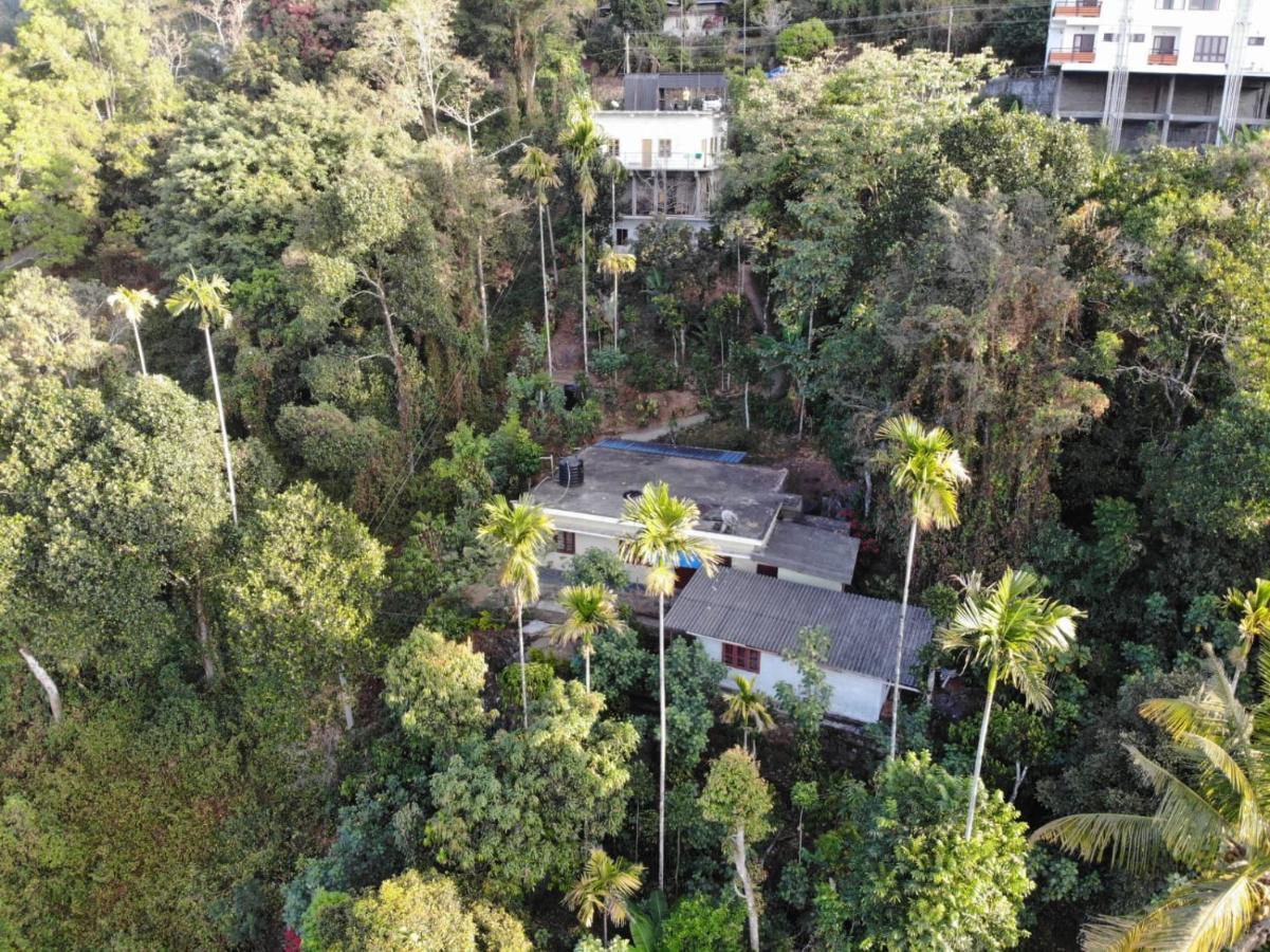 Greenpepperhomestay Munnar Anaviratty Экстерьер фото